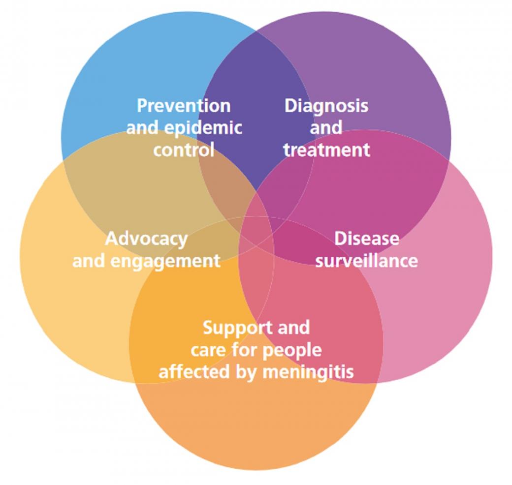 WHO Brain Health Unit, Defeating meningitis by 2030 Programs in